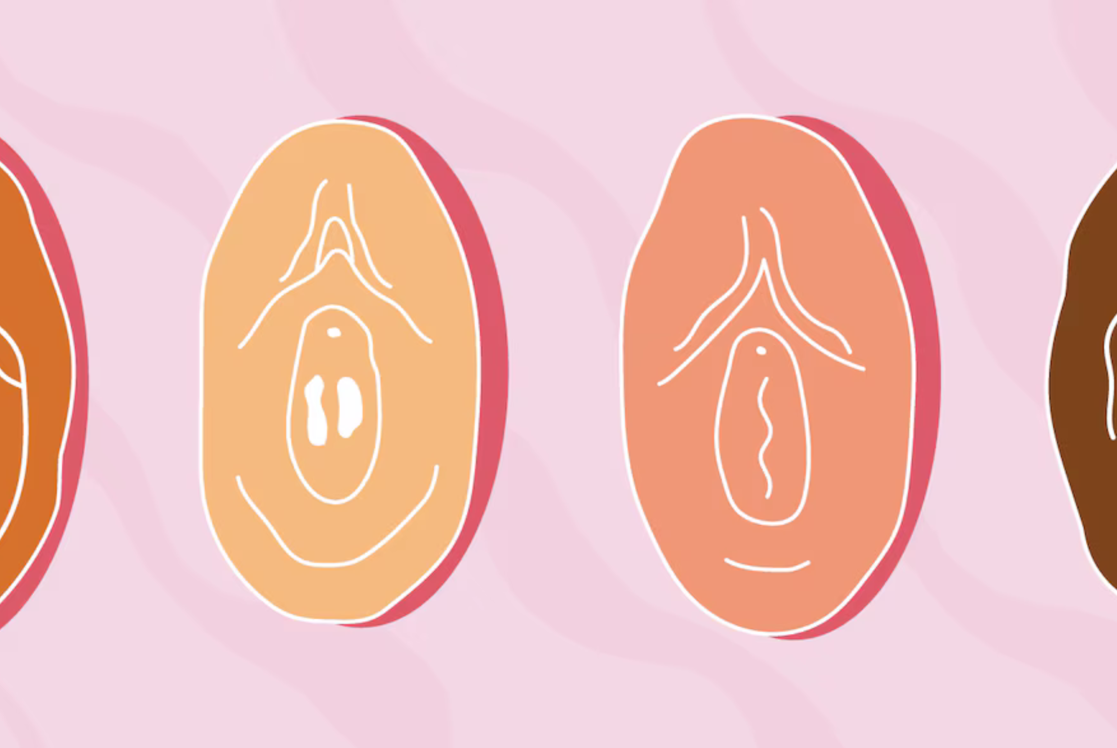 A woman’s virginity can be proven by an intact hymen